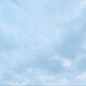 Meet your Posher, Isabel